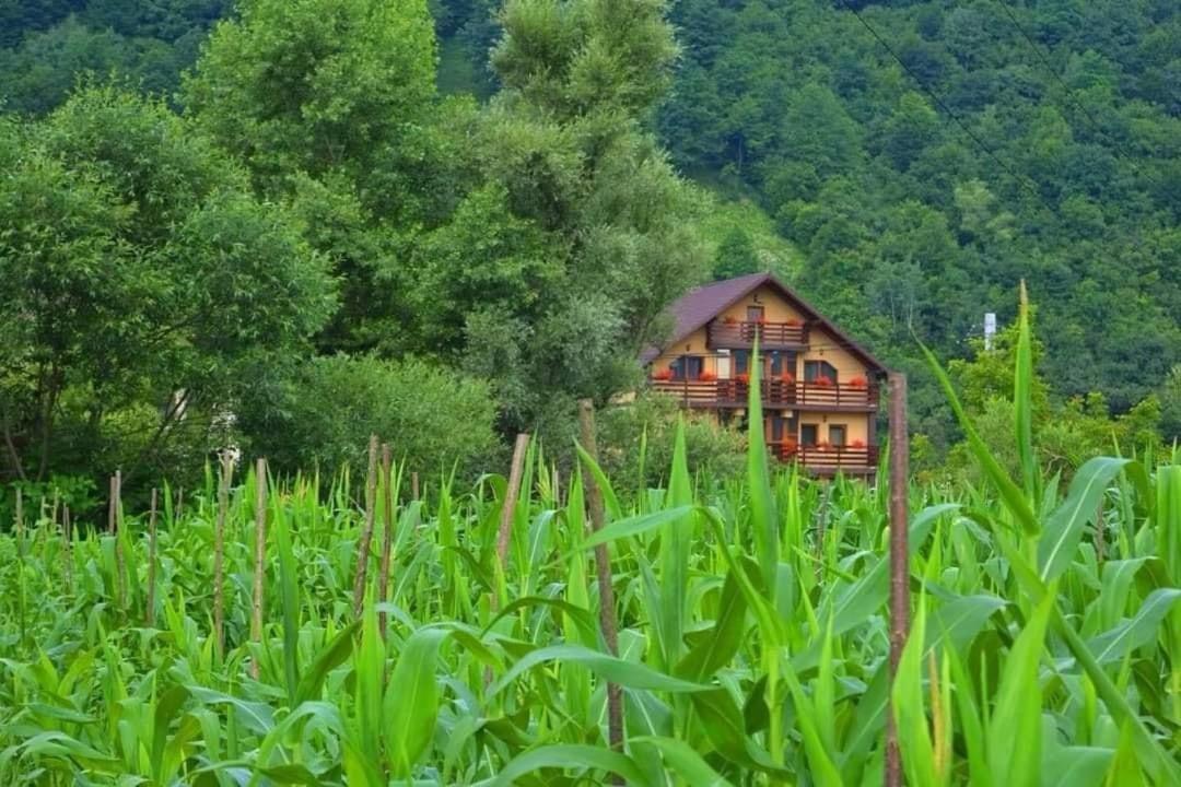 Casa Vadeanu Hotel Sighetu Marmaţiei Екстериор снимка