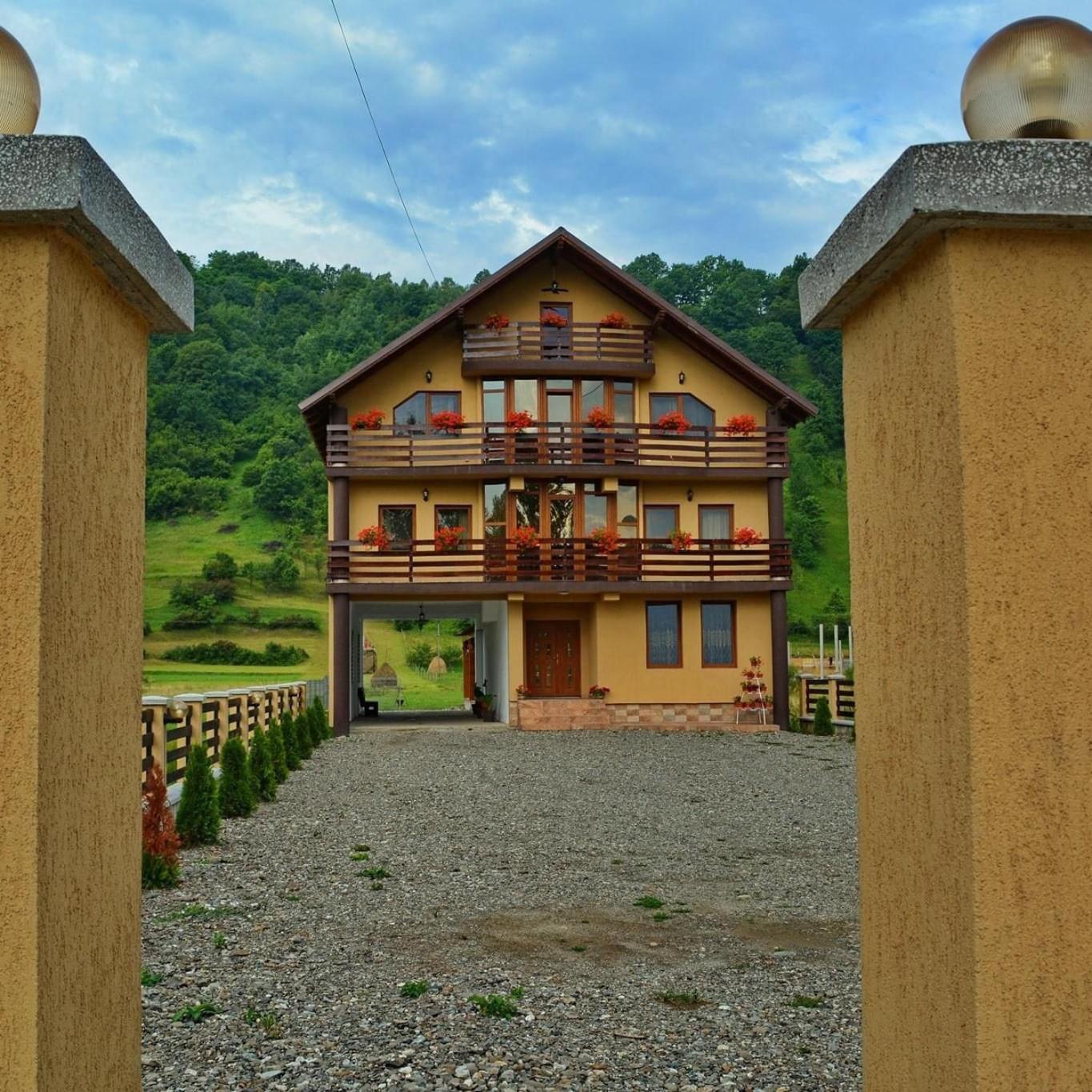 Casa Vadeanu Hotel Sighetu Marmaţiei Екстериор снимка